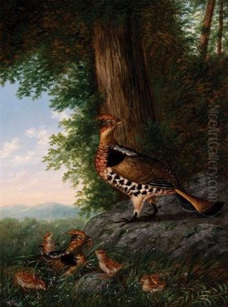 Family Of Grouse - view 1