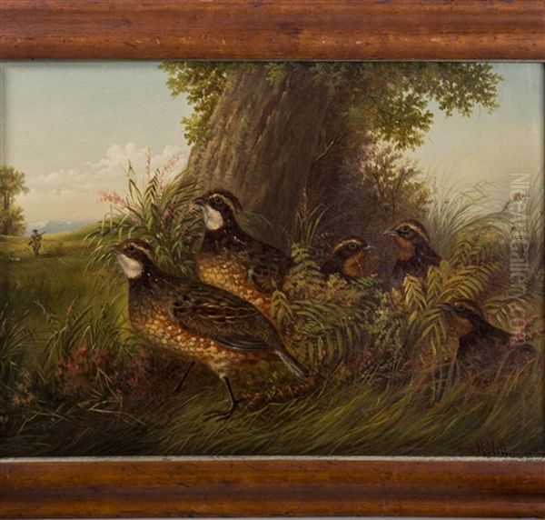 A Family Of Quail - view 1