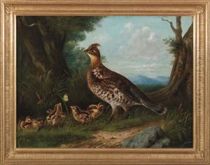 Grouse And Young Grouse And Young