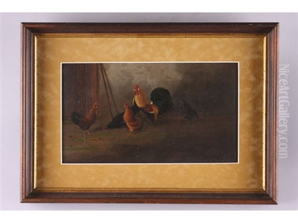 Barnyard Chickens - view 1