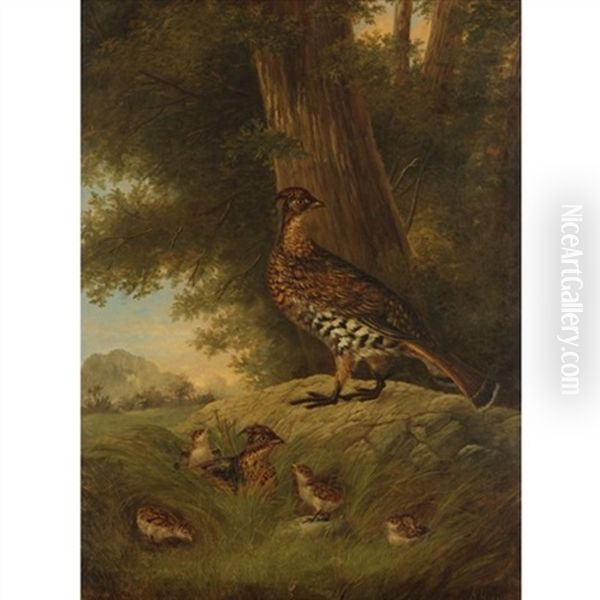 A Family Of Grouse In A Landscape - view 1