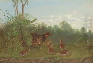 A Quail Feeding Her Chicks