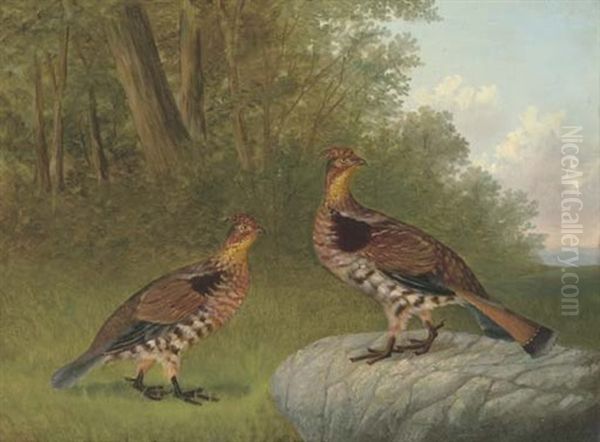 A Pair Of Ruffled Grouse Beside A Wood - view 1