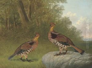 A Pair Of Ruffled Grouse Beside A Wood