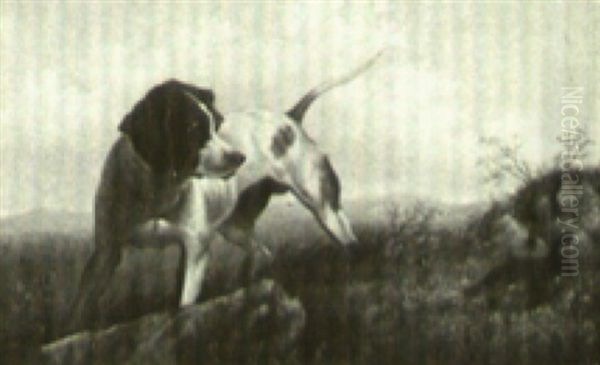 A Quail Decoying A Hunting Dog - view 1