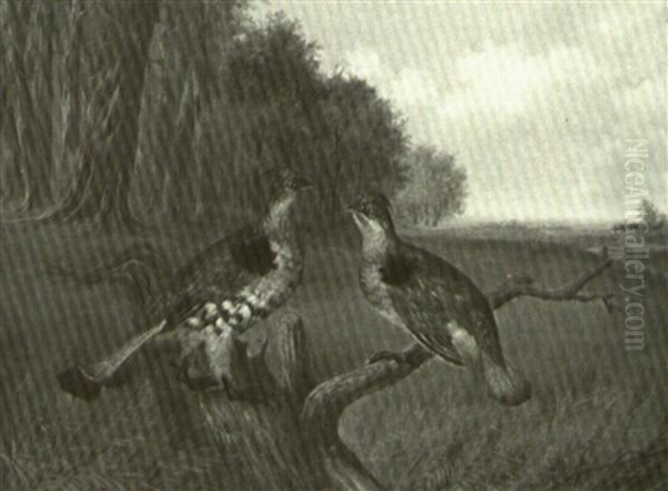 A Pair Of Grouse In A Landscape - view 1