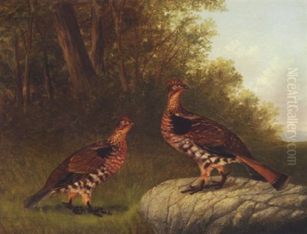 Pair Of Partridges - view 1