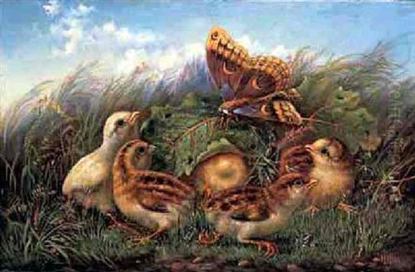 Moth And Chicks - view 1