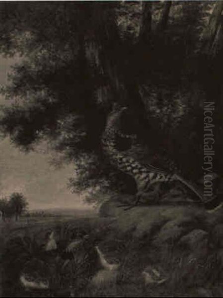 Grouse Family - view 1