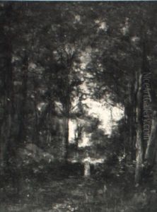 A Walk In The Forest by Howard L. Hill