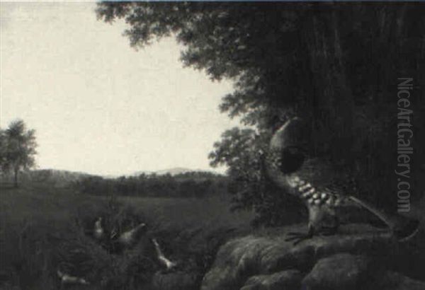 A Family Of Grouse - view 1