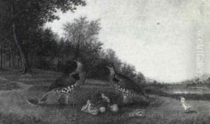 A Family Of Pheasants by Howard L. Hill
