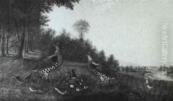 A Family Of Grouse - view 1