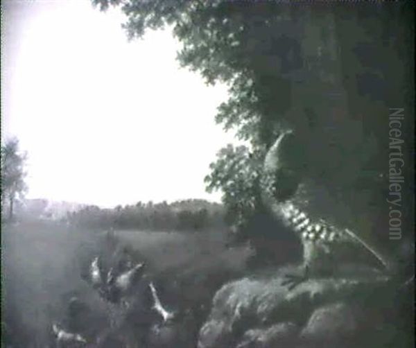 Grouse Family - view 1