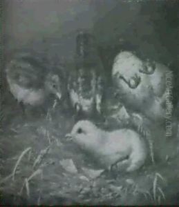 Chicks Hatching