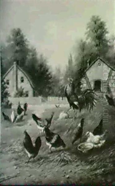 Roosters And Hens - view 1