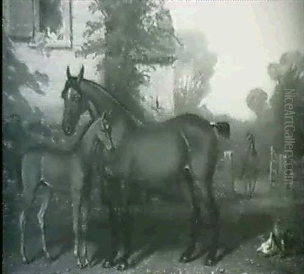 Mare And Foal - view 1