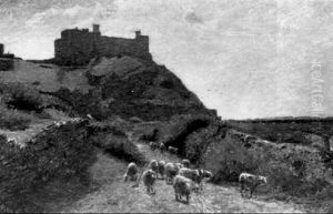 Sheep By Harlech Castle by James Stephens Hill