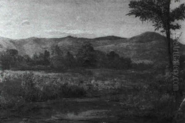 A Quiet Stream - view 1