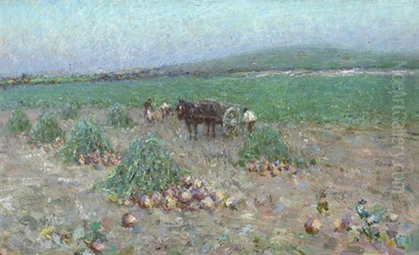 Turnip Gathering - view 1