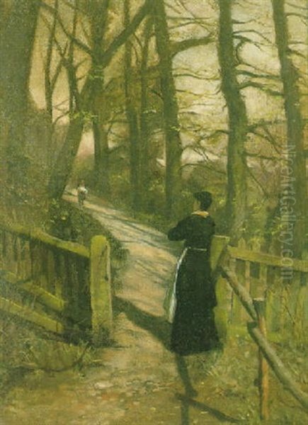 A Woodland Path In Brittany - view 1