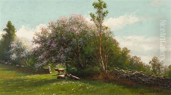 June Day, Barton, Vt, Landscape With Cows - view 1