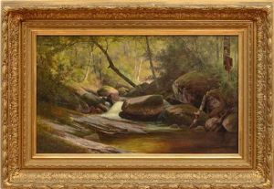 Woodland Stream Woodland Stream