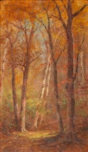 October- Sunlight In The Woods by Edward Hill