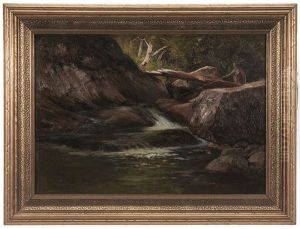 Fisherman At A Cascade