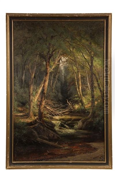 Ravine Brook, White Mountains - view 1