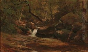Wood And Rock Lined Forest's Stream by Edward Hill