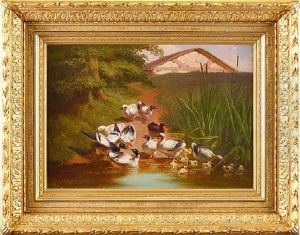 Ducks And Ducklings By A Pond