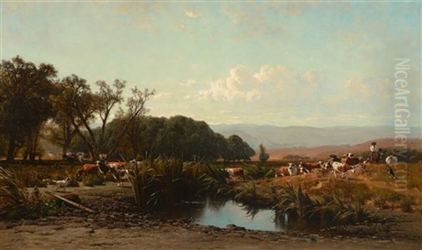California - view 1