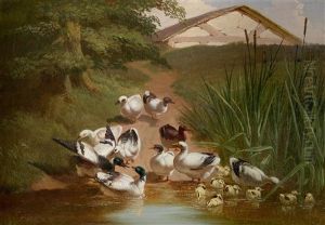 Ducks And Ducklings By A Pond by Thomas Hill