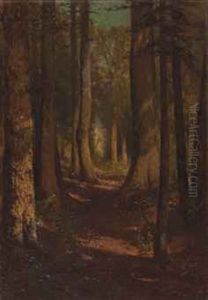 A Tree Lined Path Through The Woods by Thomas Hill