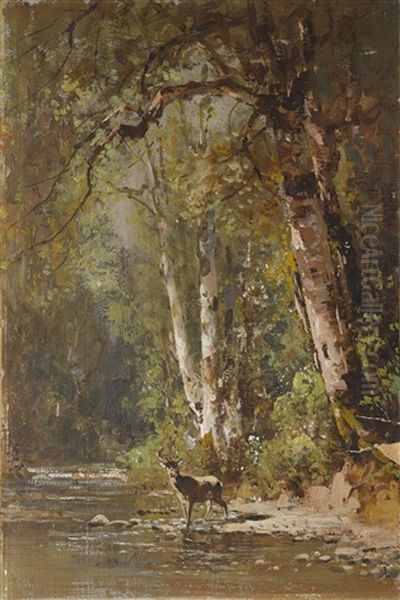 Deer By A Stream - view 1