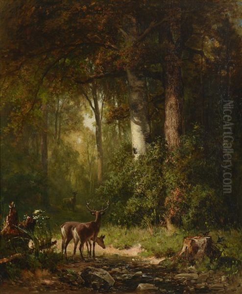 Deer In A Thicket - view 1