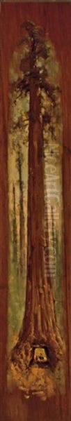 At The Base Of The Giant Redwood (pair) - view 1