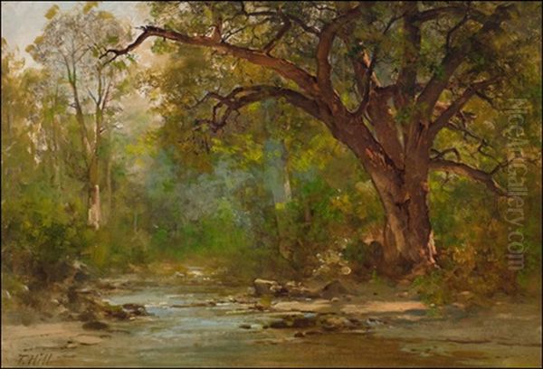 Brook Scene - view 1