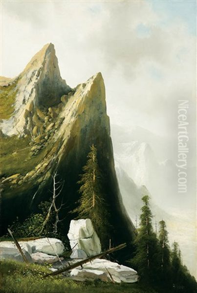 Union Point, Yosemite Valley - view 1