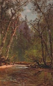 Wooded Glen by Thomas Hill