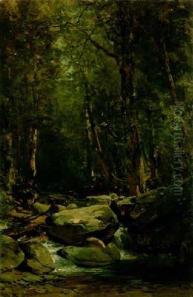 A Boulder-strewn Forest Stream - view 1