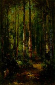 A Forest Path by Thomas Hill