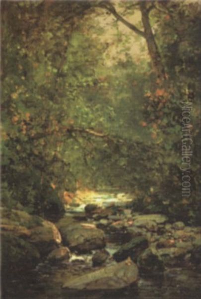 Stream In Forest Interior - view 1
