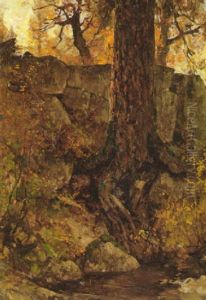 Old Tree Near A Pool In A Forest