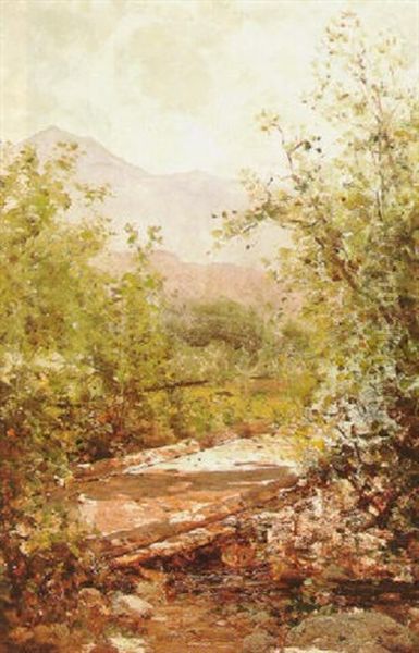 View Of Mount Tamalpais Through The Trees - view 1
