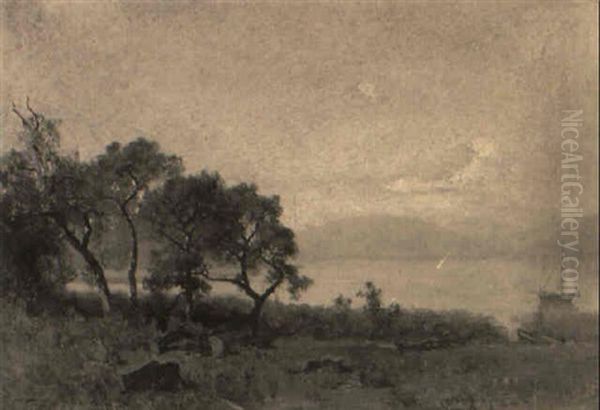 By The Shore - view 1