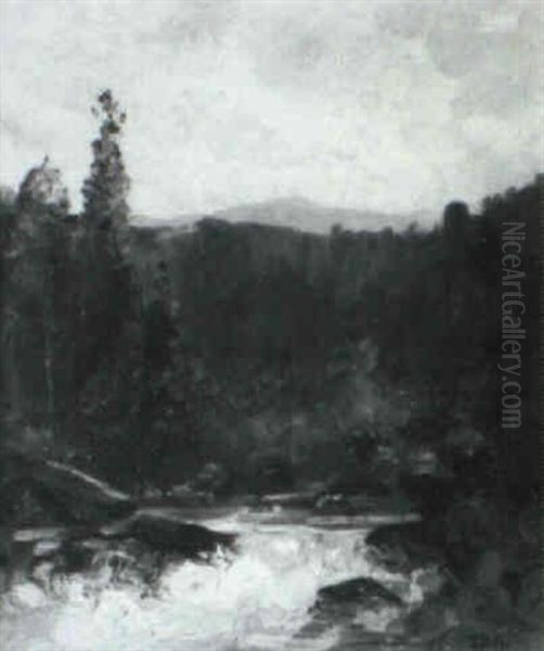 Woodland Stream - view 1
