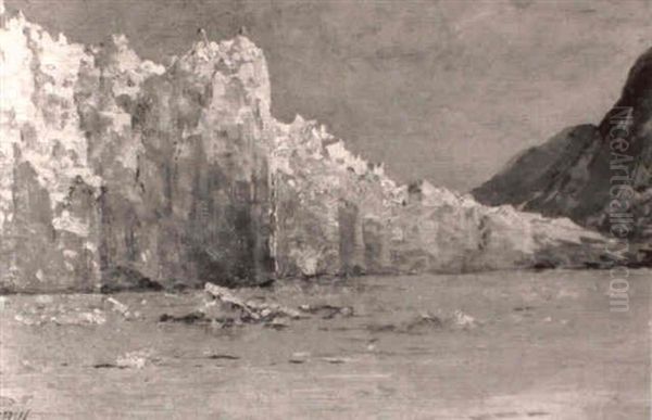 The Muir Glacier, Alaska - view 1