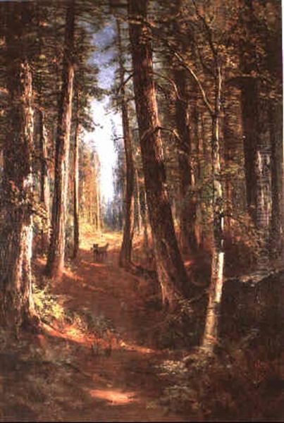 Wooded Landscape With Red Fox - view 1